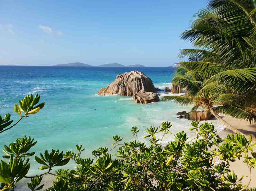 Discover seychelles with BuzzinTrips - explore breathtaking fjords, majestic mountains, vibrant cities, and unforgettable Nordic adventures.